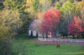 Stallion grazing in meadow surrounded by colorful autumn trees a