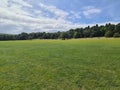 Stammer Park views local area Royalty Free Stock Photo