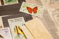 Stamp with butterfly among other stamps