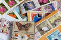 Stamp collection closeup Royalty Free Stock Photo