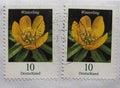 stamp of Germany showing Winterling flower in Muenchen