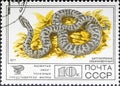 Stamp of Gloydius halys Royalty Free Stock Photo