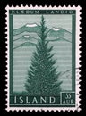 Stamp issued in Iceland shows European spruce Picea abies, Re-forest series