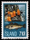 Stamp issued in Iceland shows landing catch and Atlantic Cod Gadus morhua, Icelandic Fishing Industry