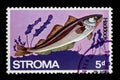 Stamp issued in Stroma shows Haddock