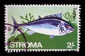 Stamp issued in Stroma shows Tunny