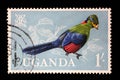 Stamp issued in Uganda shows Ruwenzori Turaco Ruwenzorornis johnstoni