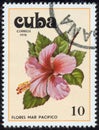 Stamp, macro