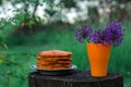 A stamp of orange tasty pumpkin pancakes on a blue plate and purple allium flowers in an orange plastic cup. Royalty Free Stock Photo