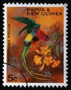 Stamp from Papua New Guinea shows Papuan Lorikeet Charmosyna papou stellae Royalty Free Stock Photo