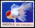 Stamp printed by Angola shows Goldfish