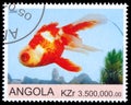 Stamp printed by Angola shows Goldfish