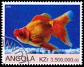 Stamp printed by Angola shows Goldfish