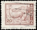 Stamp printed in Argentina shows Lama Glama
