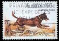 Stamp printed in Australia shows Australian Kelpie Dog