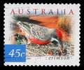 Stamp printed in Australia shows the Crimson Chat