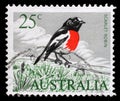 Stamp printed in Australia shows Eastern Scarlet Robin Petroica boodang - a common red-breasted Australasian robin Royalty Free Stock Photo