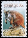 Stamp printed in Australia shows image of a Brush-tailed Rock-wallaby Royalty Free Stock Photo