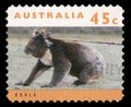 Stamp printed in Australia shows a koala bear