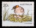 Stamp printed in Australia shows the Little Grebe or Dabchick on the nest