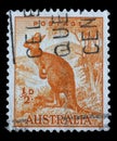 Stamp printed in Australia shows Red Kangaroo Macropus rufus