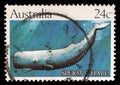 Stamp printed by Australia, shows Sperm whale