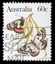 Stamp printed in Australia shows a Wood white butterfly Royalty Free Stock Photo
