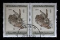 Stamp printed in Austria shows `Young Hare` by Albrecht Durer