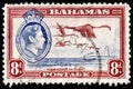 Carribean Flamingo Stamp