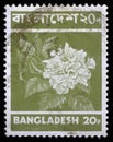 Stamp printed in Bangladesh shows flower