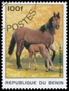 Stamp printed in Benin showing horse with filly