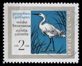 Stamp printed in Bulgaria showing Little Egret bird