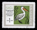 Stamp printed in Bulgaria showing Pelican Royalty Free Stock Photo