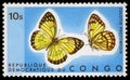 Stamp printed in Congo showing Colotis Protomedia butterfly