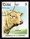 Stamp printed in Cuba showing white cow. White farm animal