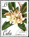 Stamp printed in Cuba shows image of a Plumieria alba, circa 1967 Royalty Free Stock Photo