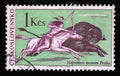 Stamp printed in Czechoslovakia shows the scene of buffalo hunting, a native American Indian on horseback