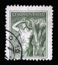 Stamp printed in Czechoslovakia shows Woman bundling grain Professions series