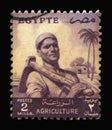 Stamp printed in Egypt shows Farmer Royalty Free Stock Photo