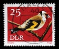 Stamp printed in GDR shows bird European goldfinch