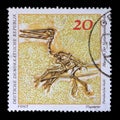 Stamp printed in GDR shows Pterodactylus kochi, Natural History Museum Pieces
