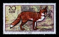 Stamp printed in GDR shows Red Fox, Vulpes Vulpes