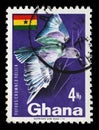 Stamp printed in Ghana shows Rufous-crowned Roller Royalty Free Stock Photo