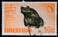 Stamp printed in Grenada shows Cane Toad Bufo marinus, Series Flora and Fauna Definitives 1968-1971 Royalty Free Stock Photo