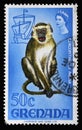 Stamp printed in Grenada shows Mona Monkey Cercopithecus mona, Series Flora and Fauna Definitives 1968-1971 Royalty Free Stock Photo