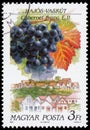 Stamp printed in Hungary shows Cabernet franc grapes