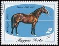 Stamp printed in Hungary shows Horse