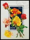 Stamp printed in Hungary shows Rose Flowers