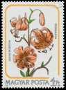 Stamp printed in the Hungary shows Tiger Lily