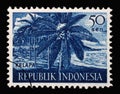 Stamp printed in Indonesia shows Coconut Cocos nucifera Kelapa, Agricultural Products series